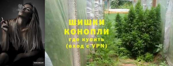 дурь Богородицк